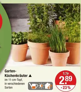 V Markt Garten-küchenkräuter Angebot