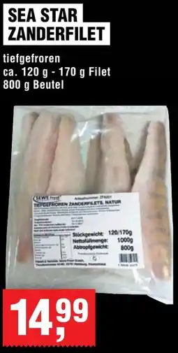 Handelshof Sea star zanderfilet Angebot