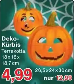 Jawoll Deko- Kürbis Angebot