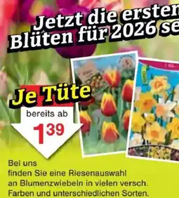 Jawoll Je Tüte Angebot