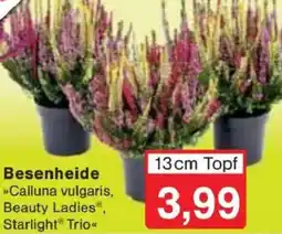 Jawoll Besenheide Angebot