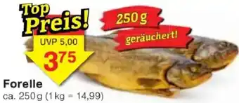 Jawoll Forelle Angebot