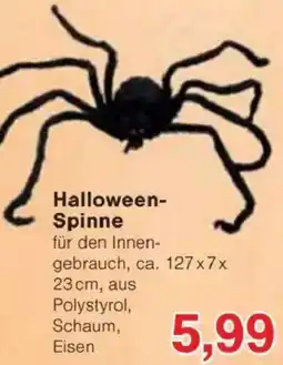 Jawoll Halloween- Spinne Angebot