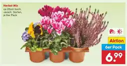 Netto Marken-Discount Herbst mix Angebot