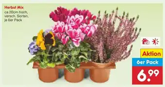 Netto Marken-Discount Herbst mix Angebot