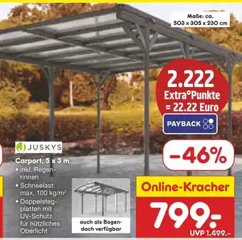 Netto Marken-Discount Juskys carport Angebot