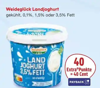Netto Marken-Discount Payback 40 extra°punkte Angebot