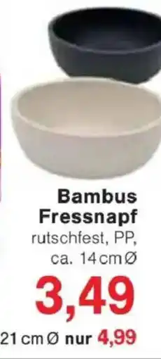 Jawoll Bambus Fressnapf Angebot