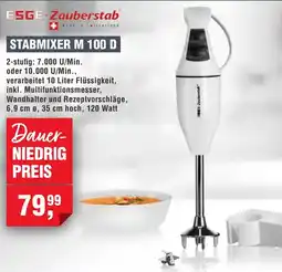 Handelshof Esge-zauberstab stabmixer M 100 D Angebot