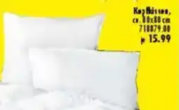 Möbel Boss Kopfkissen Angebot