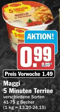 AEZ Maggi 5 Minuten Terrine Angebot