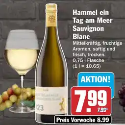 AEZ Hammel ein Tag am Meer Sauvignon Blanc Angebot