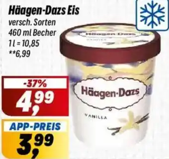 Simmel Häagen-Dazs Eis Angebot