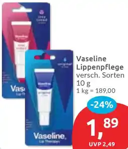 Budni Vaseline Lippenpflege Angebot