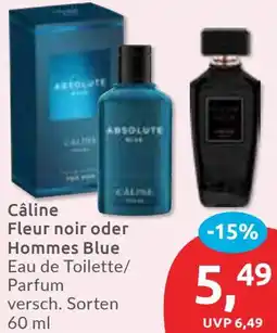 Budni Câline Fleur noir oder Hommes Blue Eau de Toilette/ Parfum Angebot