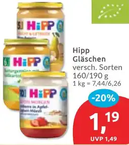 Budni Hipp Gläschen Angebot