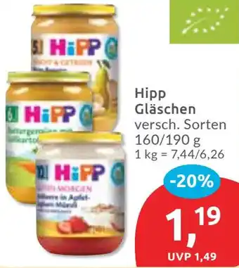 Budni Hipp Gläschen Angebot