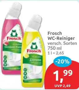 Budni Frosch WC-Reiniger Angebot