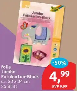 Budni folia Jumbo Fotokarton-Block Angebot