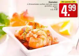 WEZ Garnelen Angebot