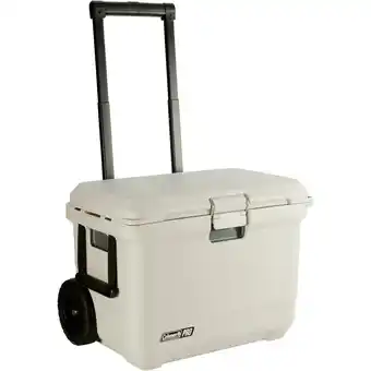 Netto Marken-Discount Coleman Kühlbox PRO 55QT Angebot