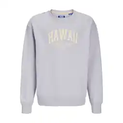 Netto Marken-Discount Jack & Jones Junior Pullover DETROIT Sweatshirt Angebot