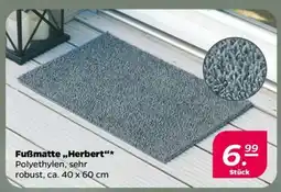 NETTO Fußmatte „Herbert“ Angebot