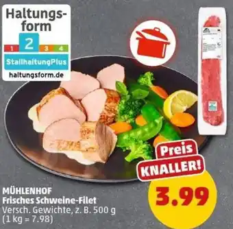 PENNY MÜHLENHOF Frisches Schweine-Filet Angebot