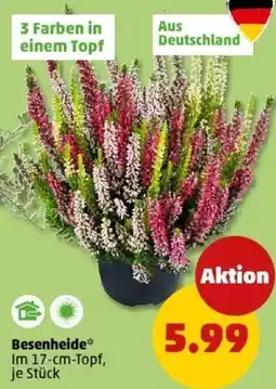 PENNY Besenheide Angebot