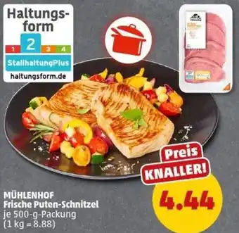 PENNY MÜHLENHOF Frische Puten-Schnitzel Angebot