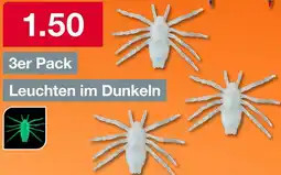 Woolworth Deko-spinnen Angebot