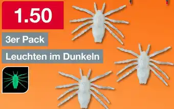 Woolworth Deko-spinnen Angebot
