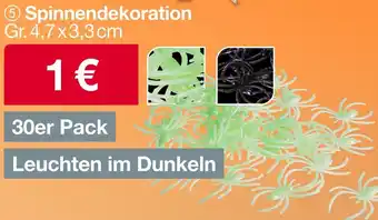 Woolworth Spinnendekoration Angebot