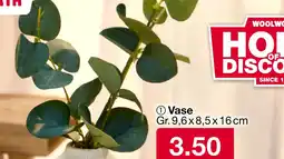 Woolworth Vase Angebot