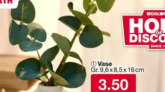 Woolworth Vase Angebot