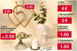 Woolworth Herz wasserhyazinthe Angebot