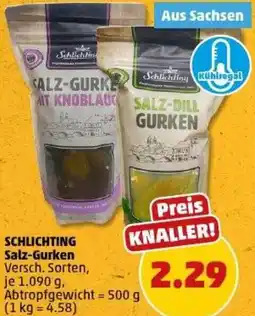 PENNY SCHLICHTING Salz-Gurken Angebot