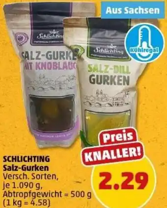 PENNY SCHLICHTING Salz-Gurken Angebot