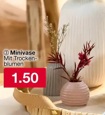 Woolworth Minivase Angebot