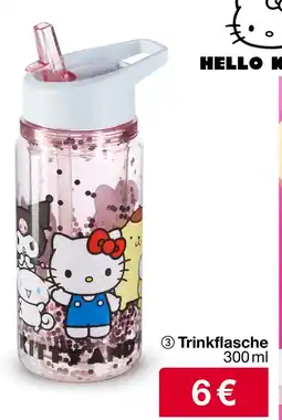 Woolworth Trinkflasche Angebot
