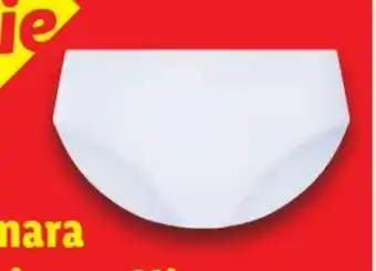 Lidl Esmara Gerippte Slips 3er Angebot