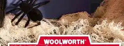 Woolworth Halloween Dekostoff Angebot