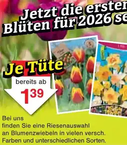 Wiglo Wunderland Je Tüte Angebot