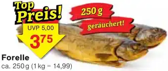 Wiglo Wunderland Forelle Angebot
