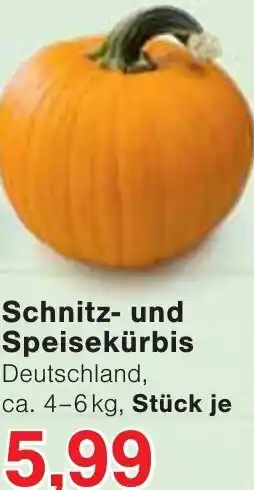 Wiglo Wunderland Schnitz- und Speisekürbis Angebot