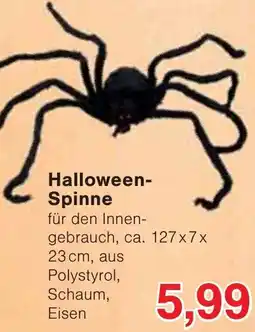 Wiglo Wunderland Halloween- Spinne Angebot
