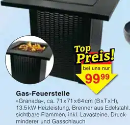 Wiglo Wunderland Gas-Feuerstelle Angebot