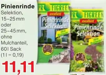 Wiglo Wunderland Pinienrinde Angebot
