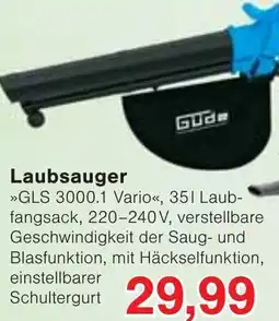 Wiglo Wunderland Laubsauger Angebot