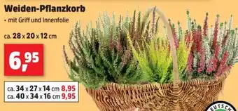 Thomas Philipps Weiden-Pflanzkorb Angebot